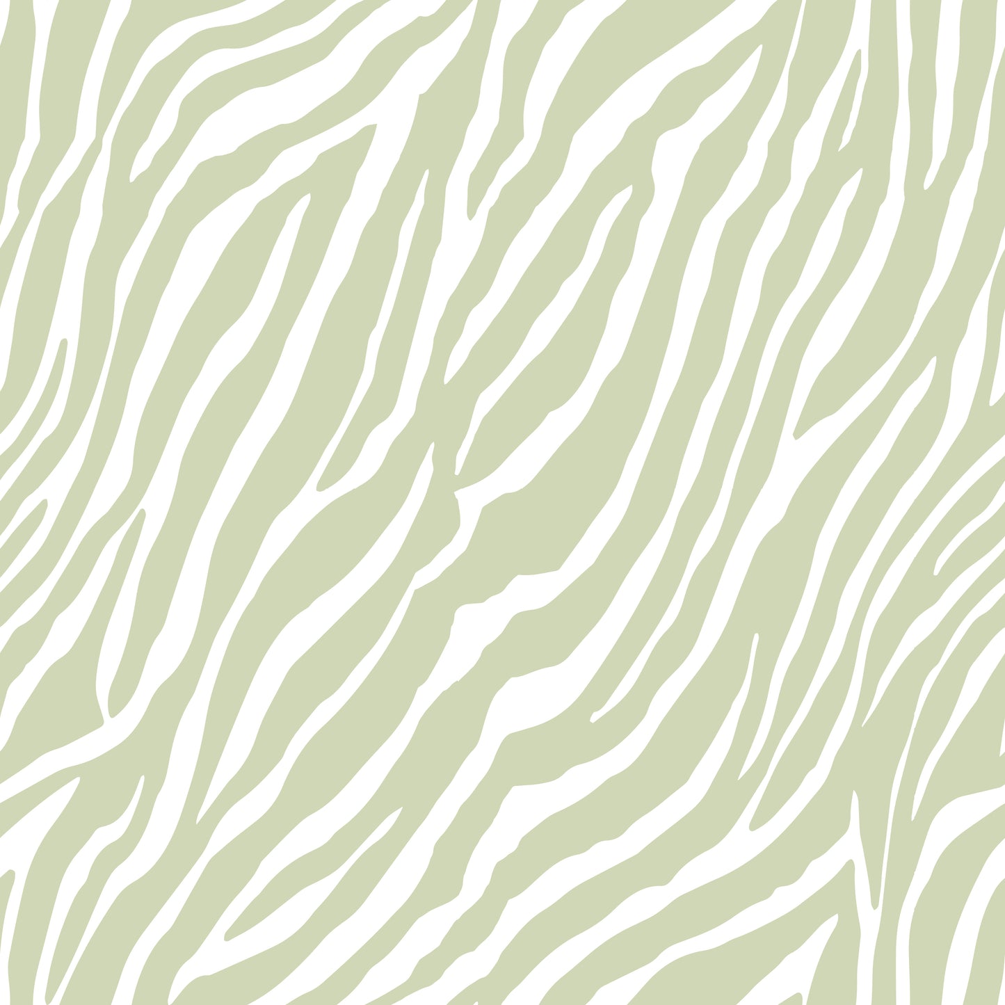 Green Zebra Wallpaper