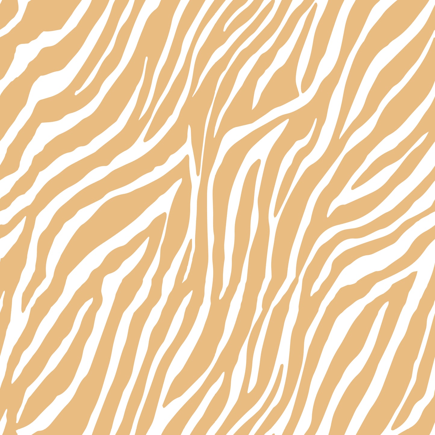 Orange Zebra Wallpaper