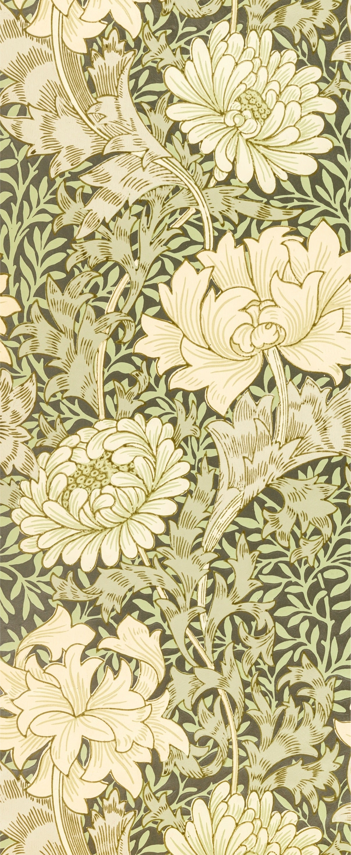 Chrysanthemum by William Morris Wallpaper