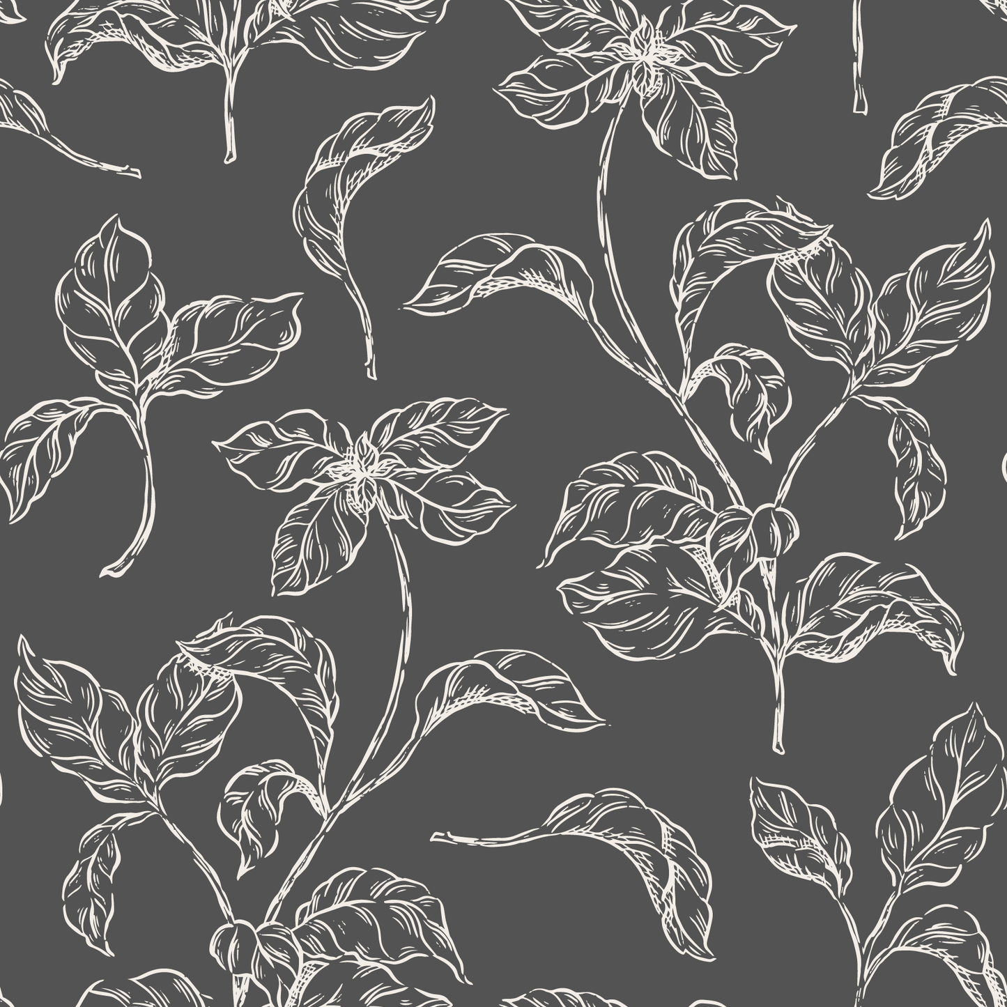 Basil Wallpaper