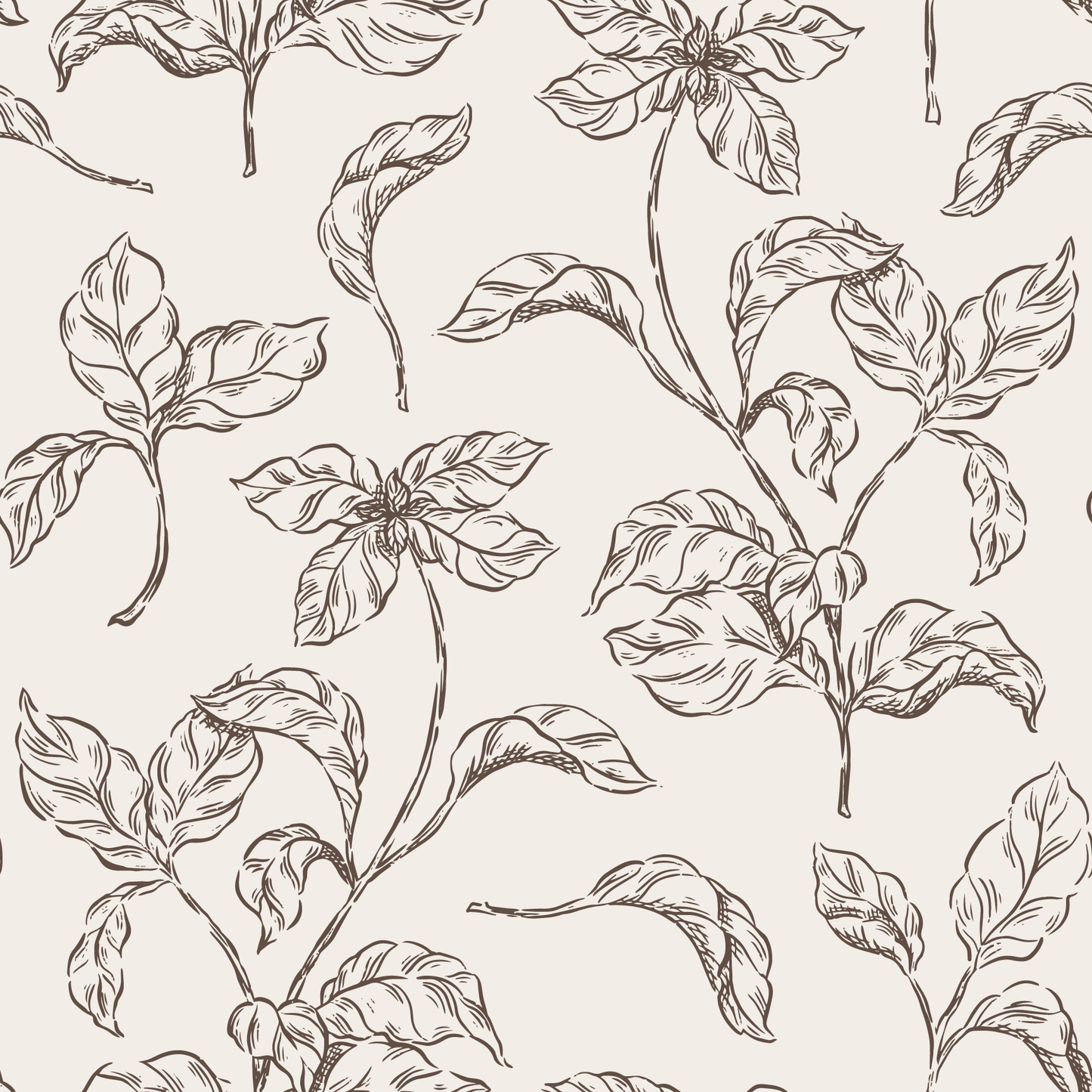 Basil Wallpaper