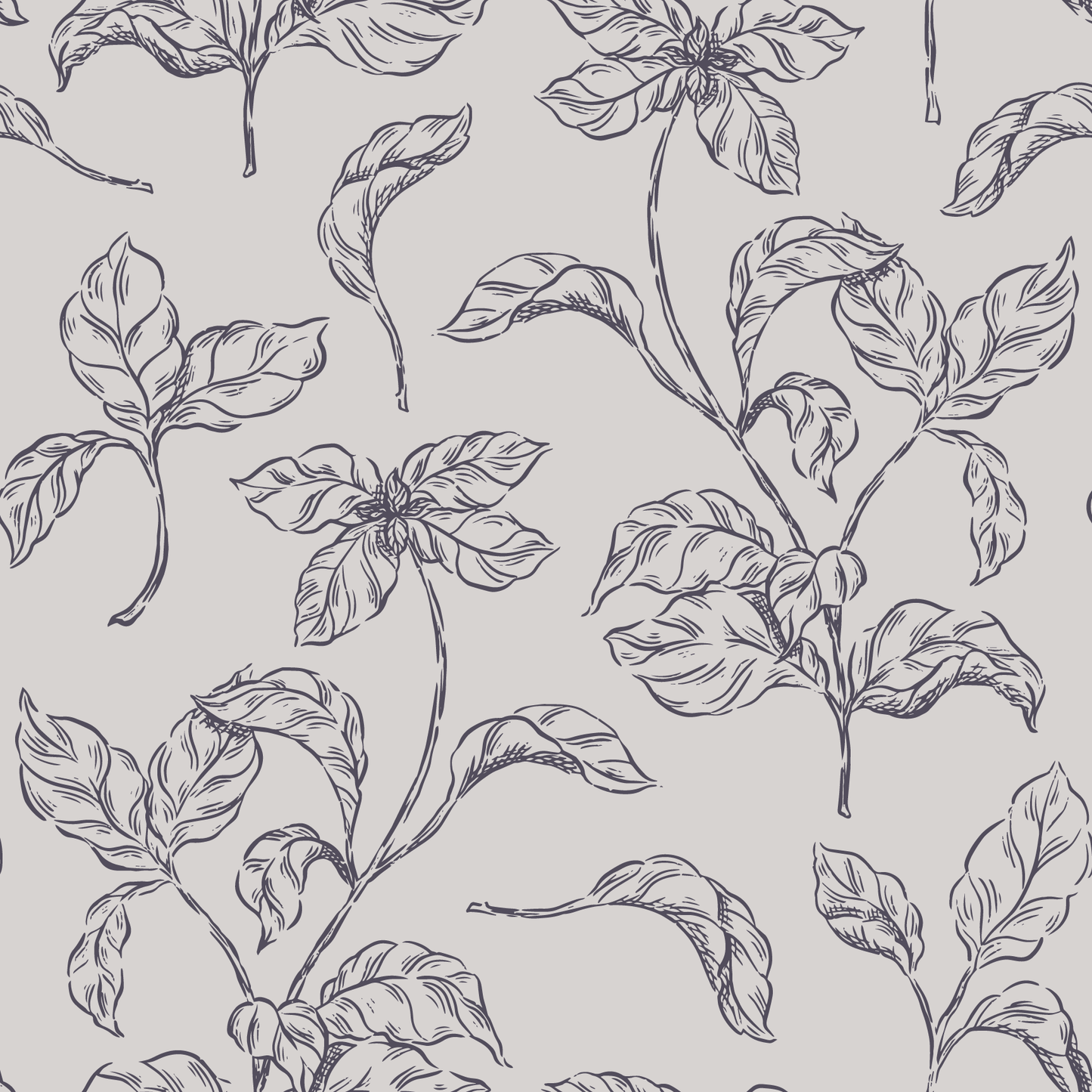 Basil Wallpaper
