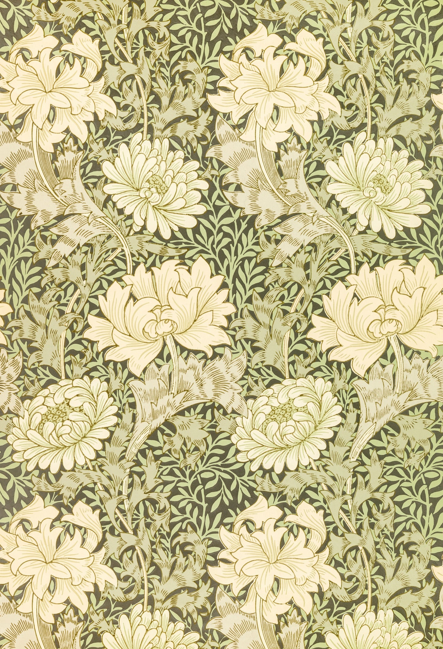 Chrysanthemum by William Morris Wallpaper