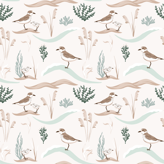 Coastal Sandpipers Wallpaper