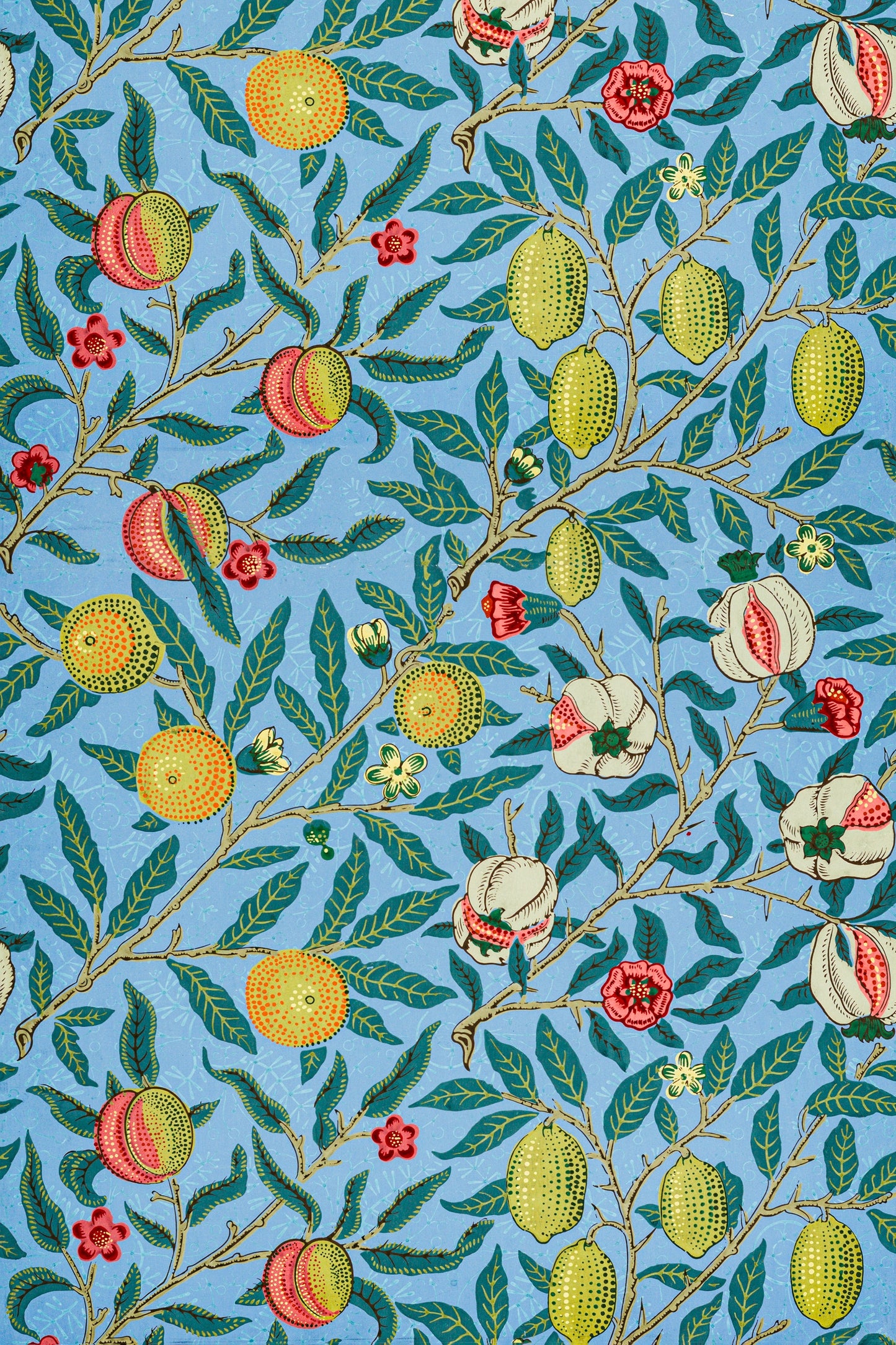 Four Fruits by William Morris Wallpaper