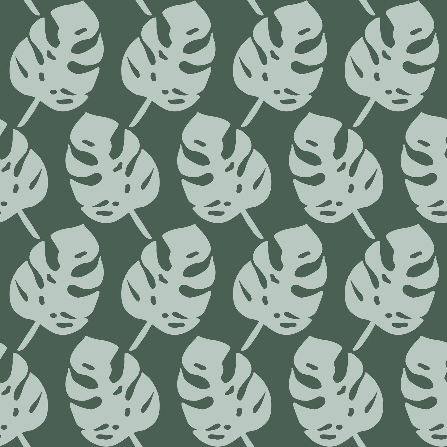 Monstera Plant Leaves Wallpaper
