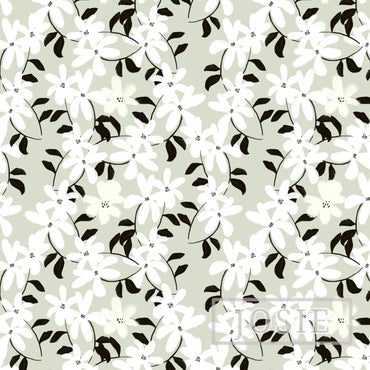 White Spring Wallpaper