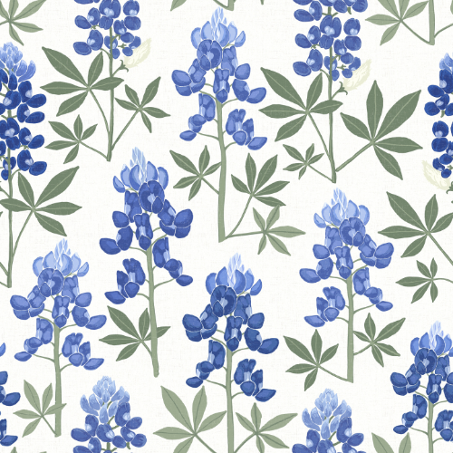 Bluebonnet Wallpaper