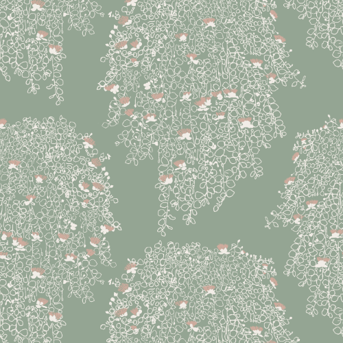 Flowering Capers Wallpaper