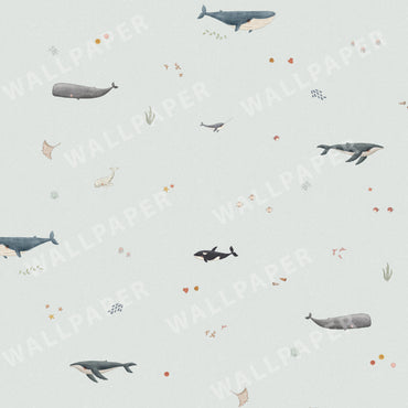 Whale Species Peel and Stick Wallpaper - Coastal, Animals, Nautical