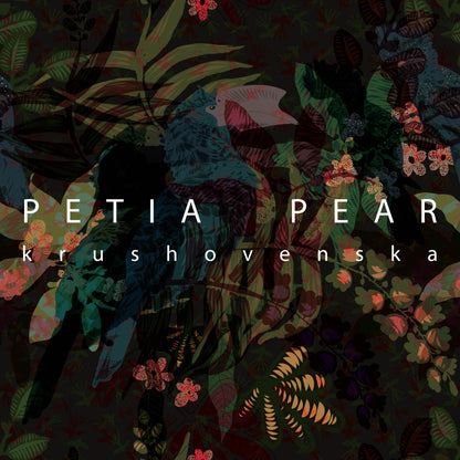 Dark Feathers Wallpaper