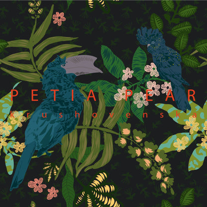 Dark Feathers Wallpaper