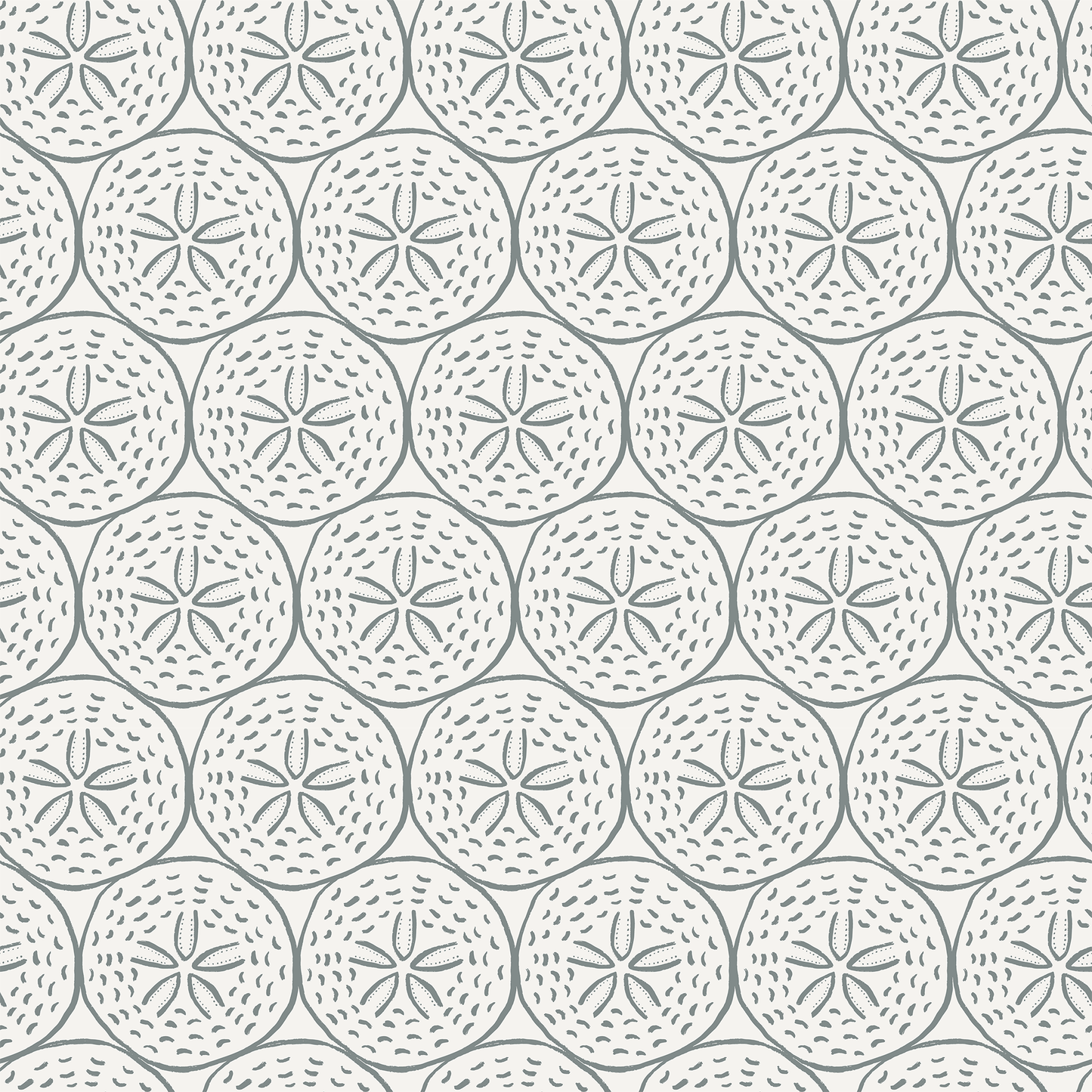 Coastal Sand Dollar Wallpaper