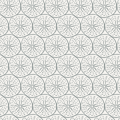 Coastal Sand Dollar Wallpaper