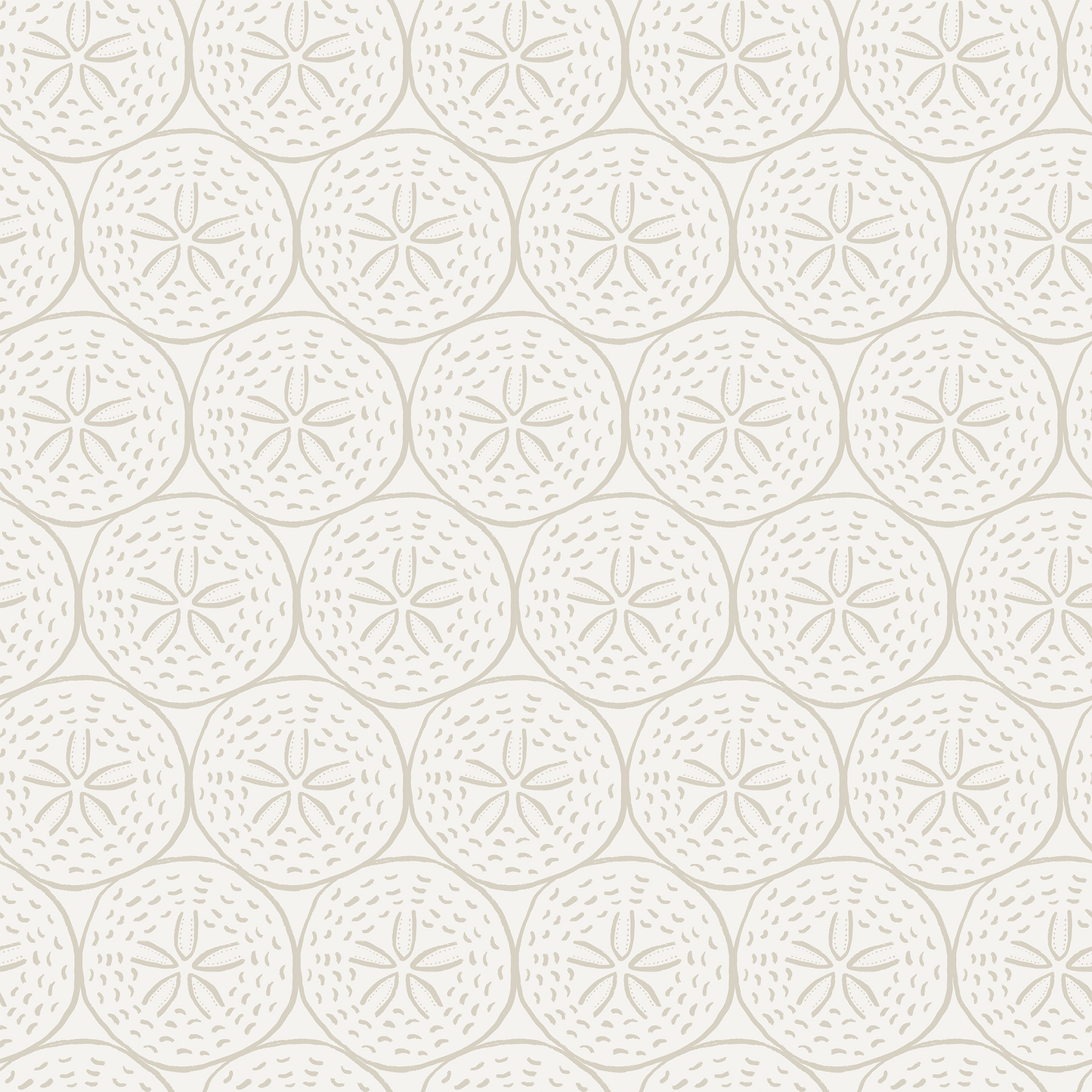 Coastal Sand Dollar Wallpaper