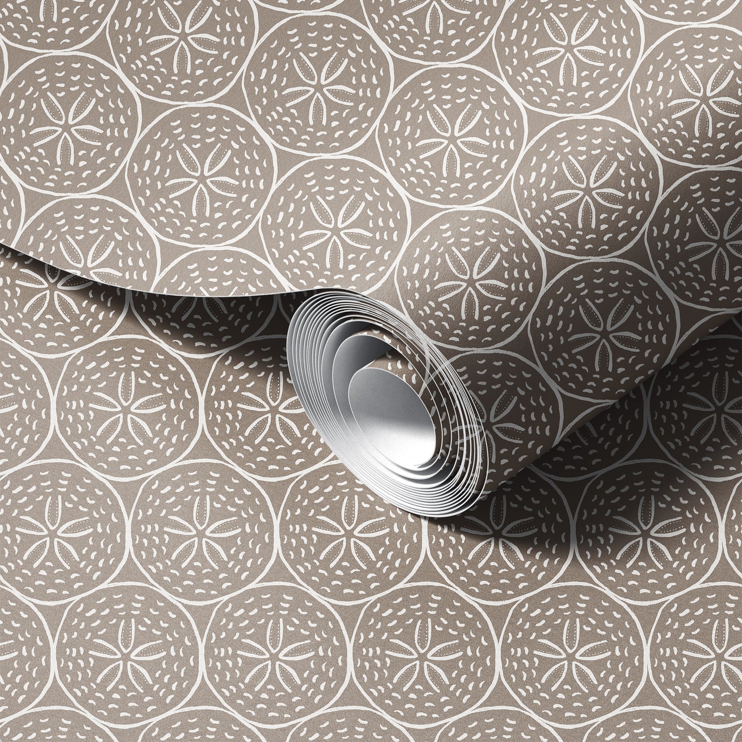 Coastal Sand Dollar Wallpaper