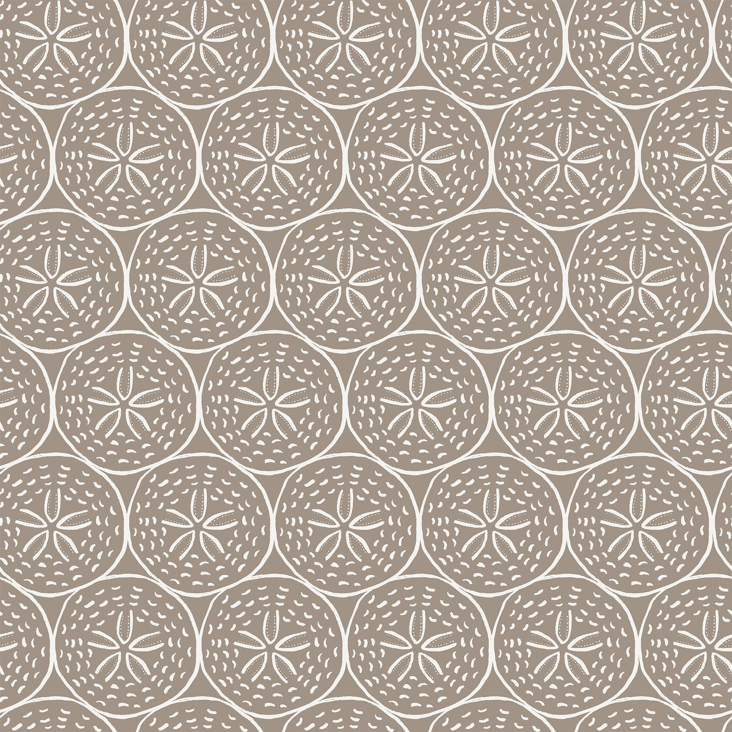 Coastal Sand Dollar Wallpaper