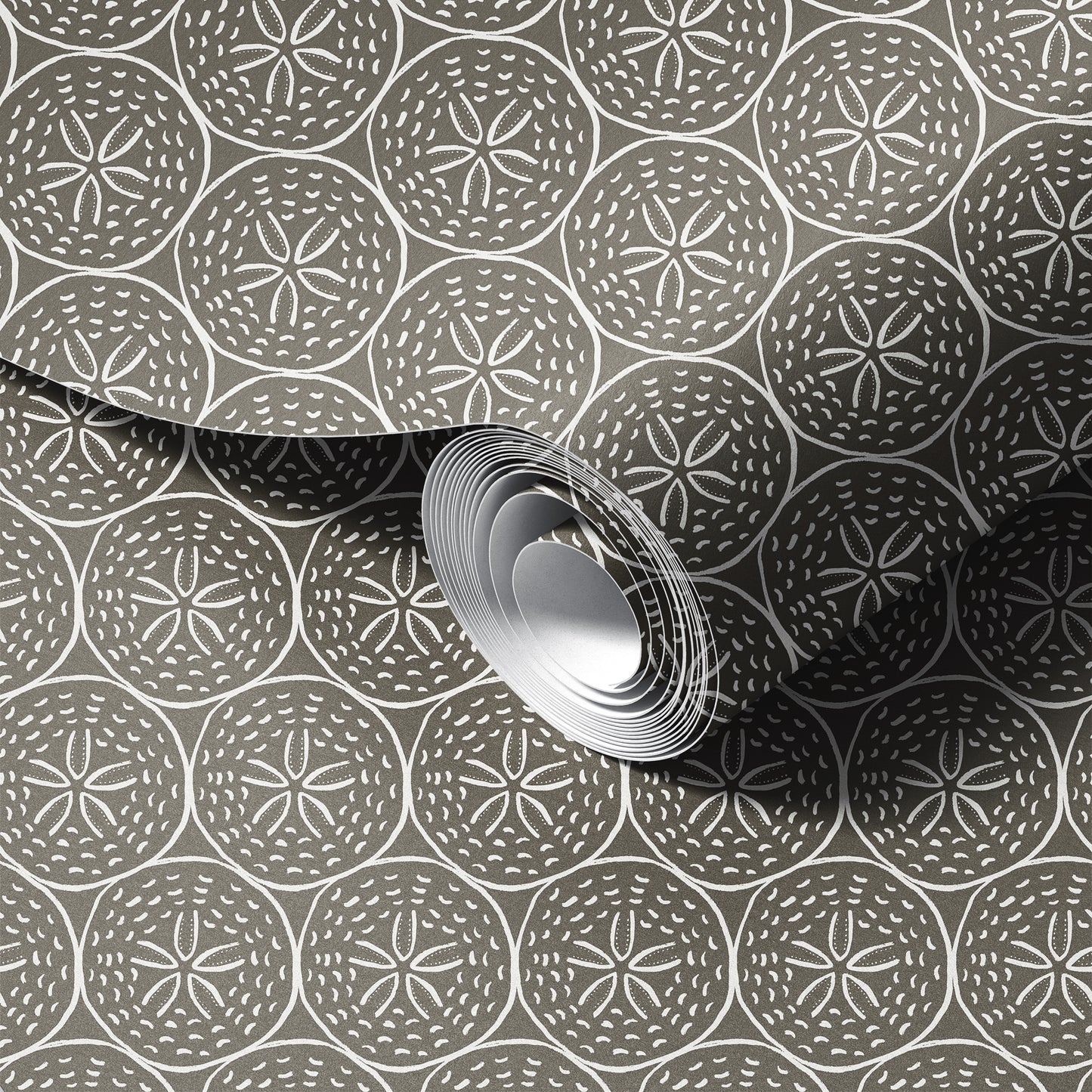 Coastal Sand Dollar Wallpaper