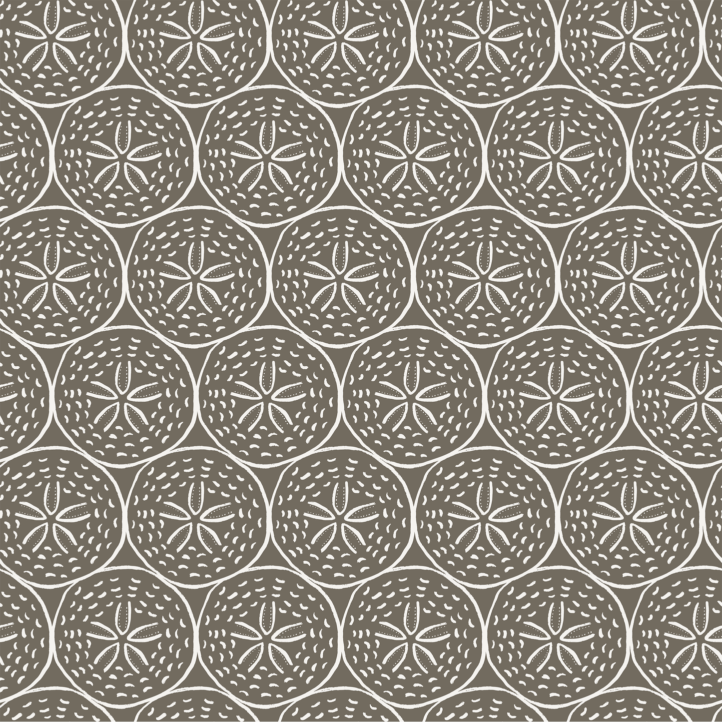 Coastal Sand Dollar Wallpaper