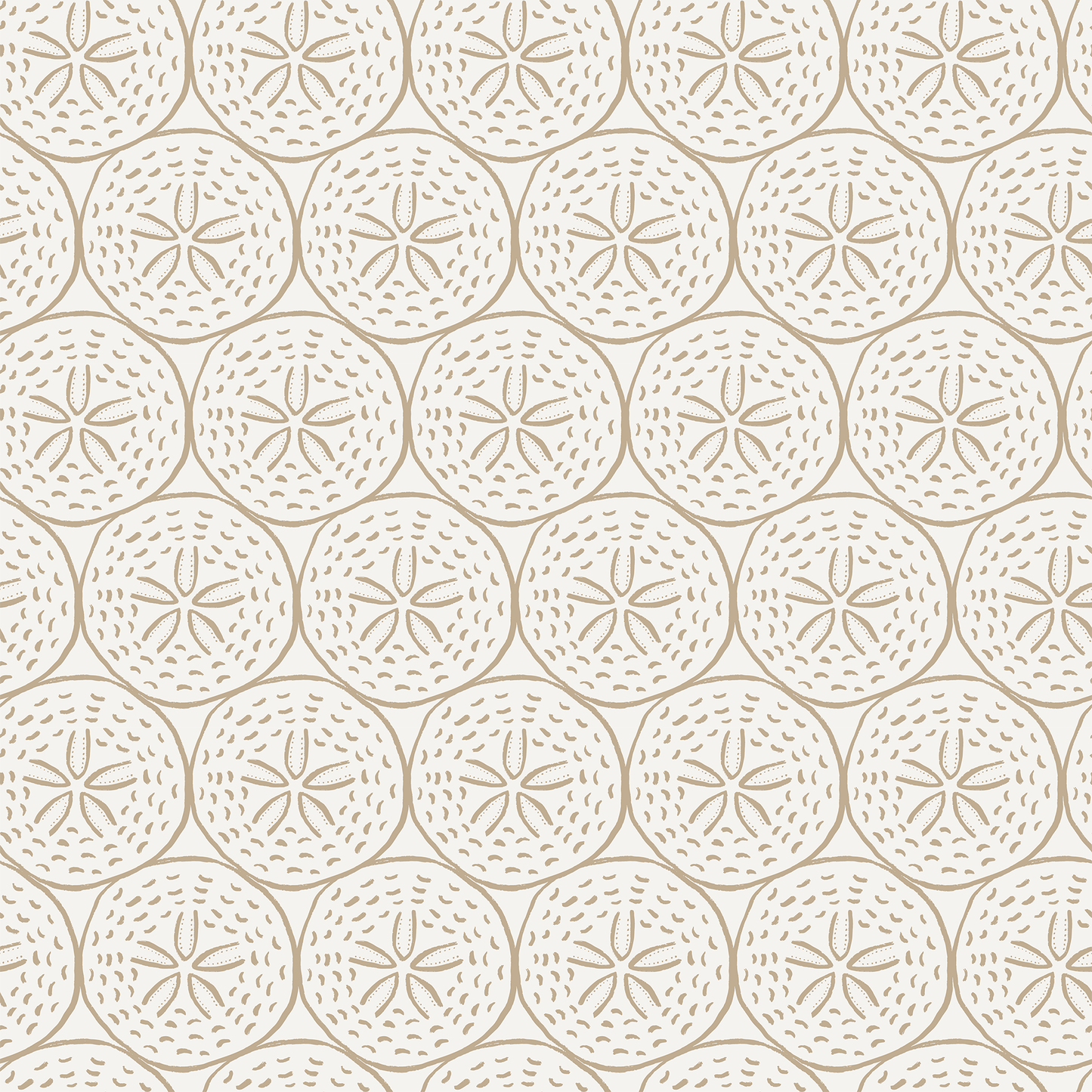 Coastal Sand Dollar Wallpaper