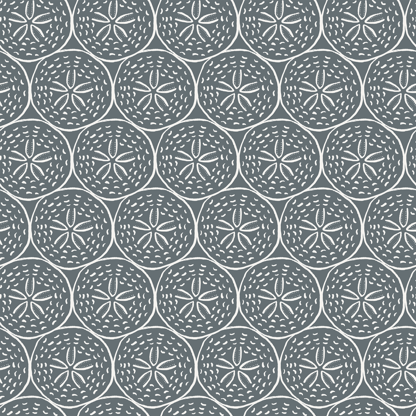 Coastal Sand Dollar Wallpaper
