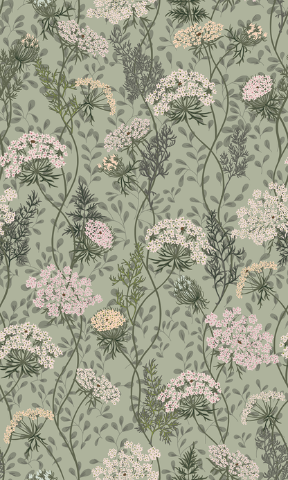Wildflower Meadow Queen Annes Lace Wallpaper