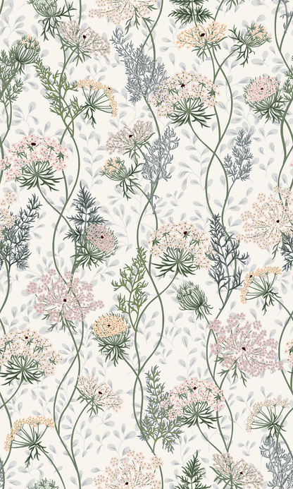 Wildflower Meadow Queen Annes Lace Wallpaper