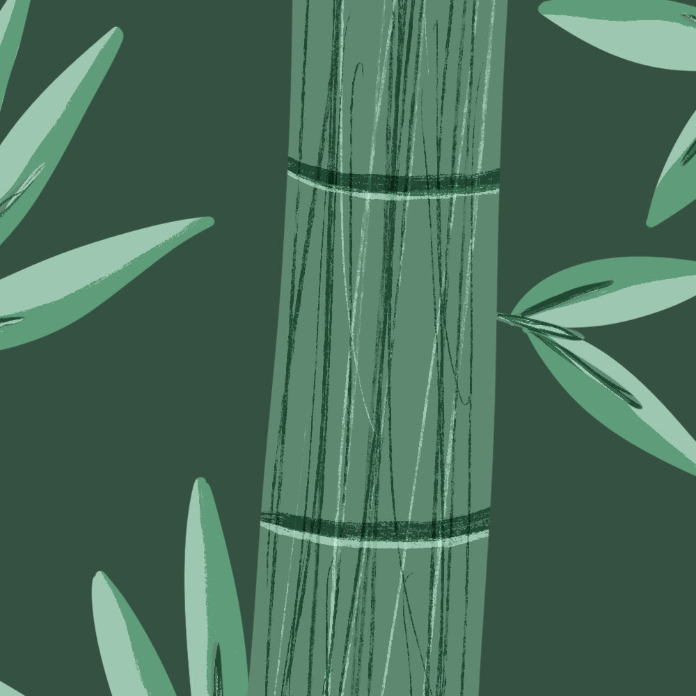Bamboo Forest Wallpaper