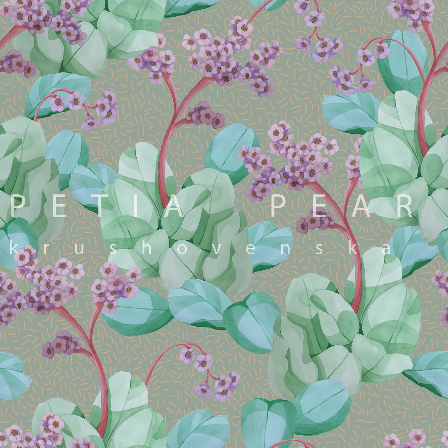 Bergenia Wallpaper