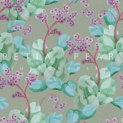Bergenia Wallpaper
