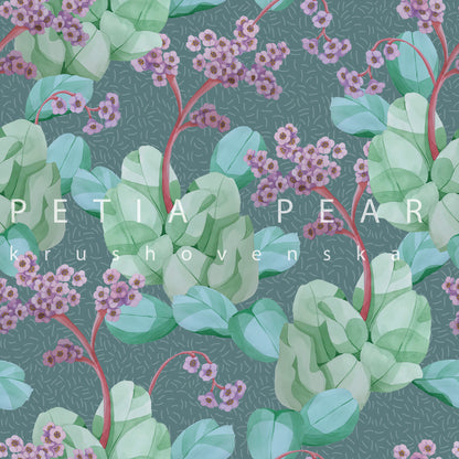 Bergenia Wallpaper