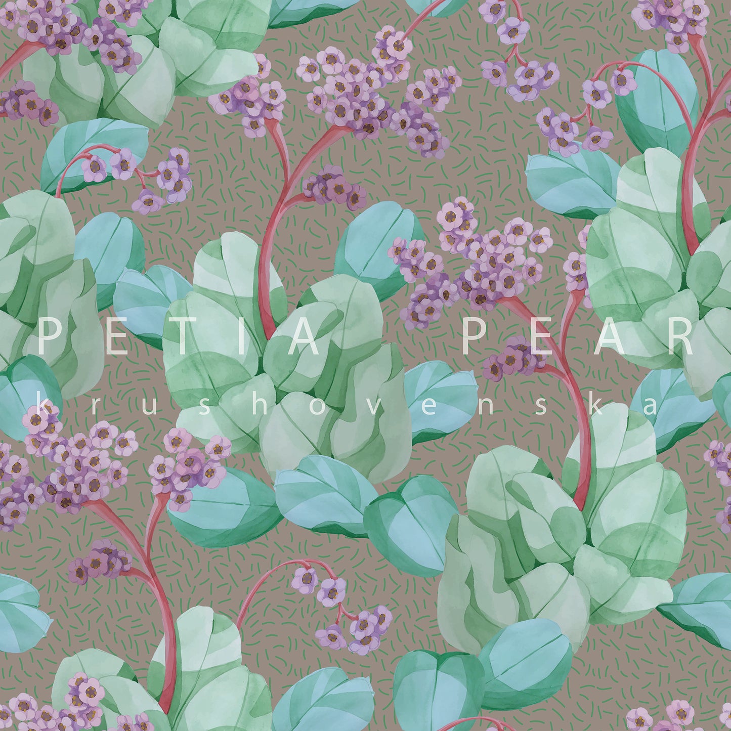 Bergenia Wallpaper