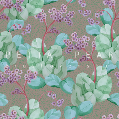 Bergenia Wallpaper