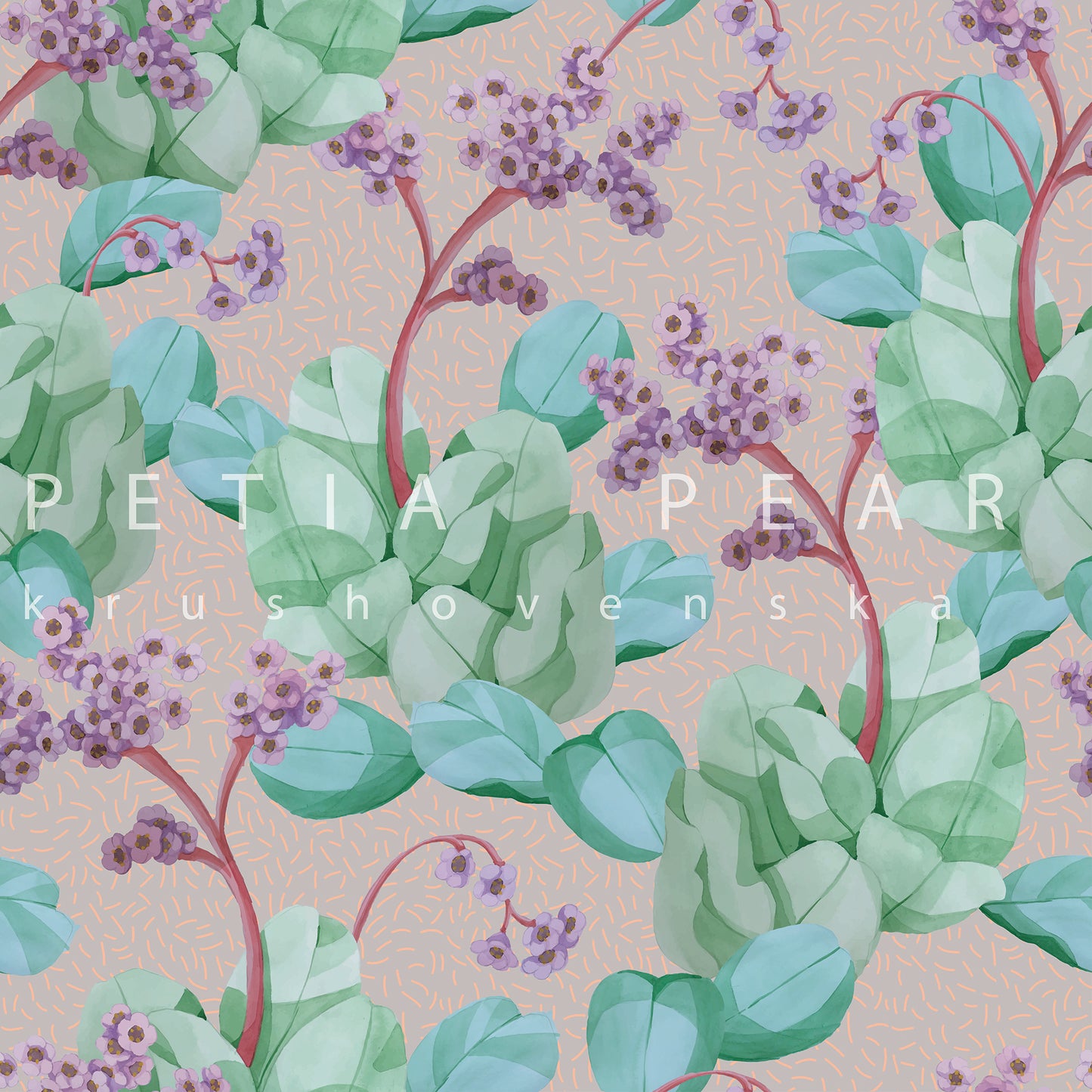 Bergenia Wallpaper