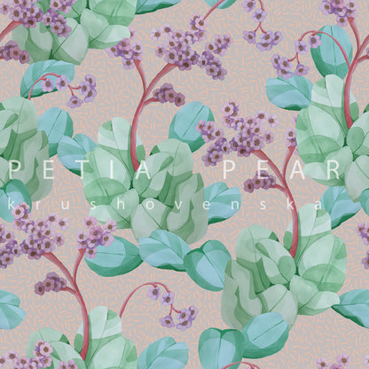 Bergenia Wallpaper