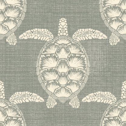 Canvas Sea Turtles Wallpaper