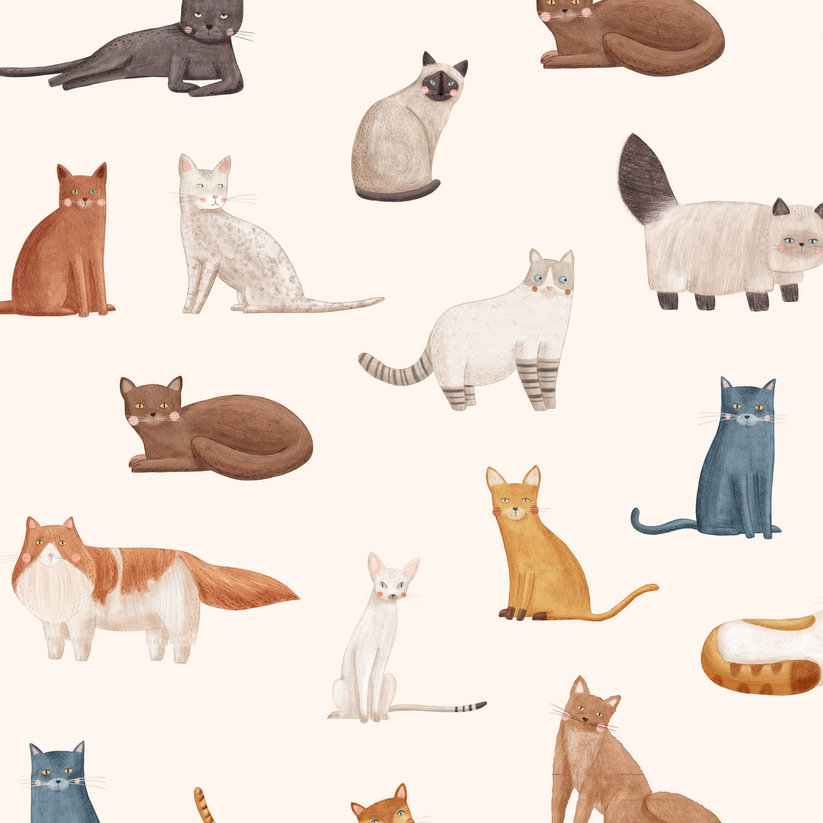 Cream Cat Breeds wallpaper with watercolor-style cats
