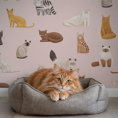 Blue Cat Breeds peel and stick wallpaper styled in a nursery