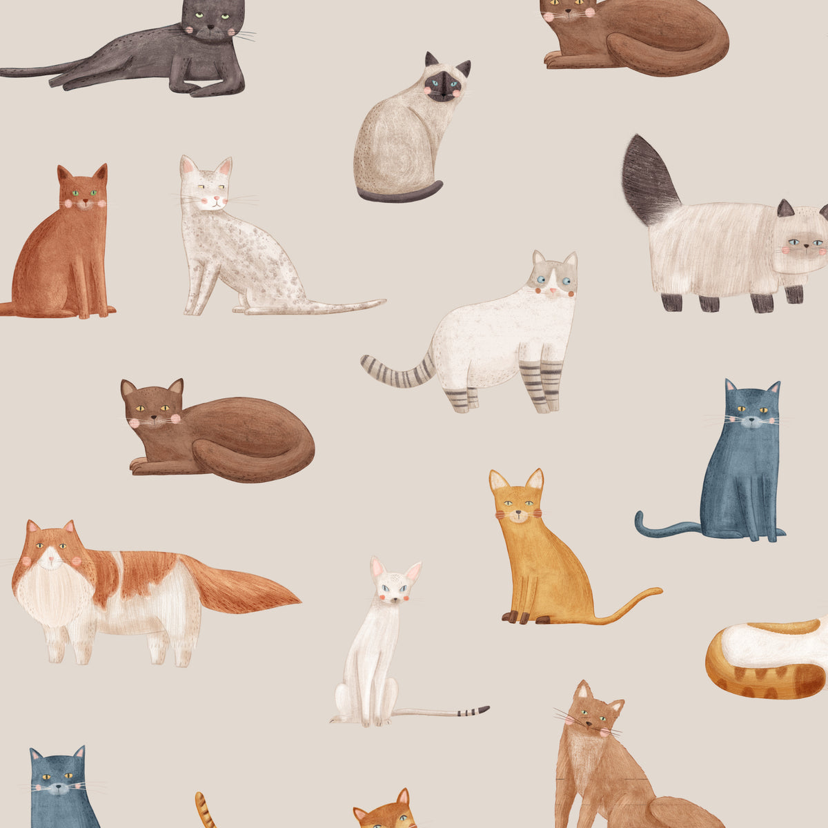 Gray Cat Breeds wallpaper with illustrated cats