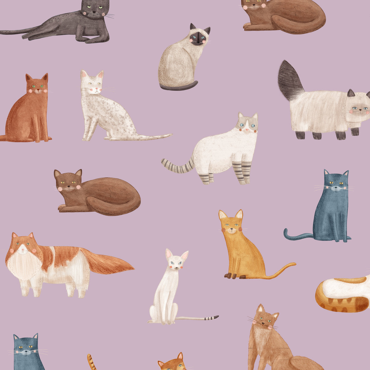 Purple Cat Breeds wallpaper pattern detail