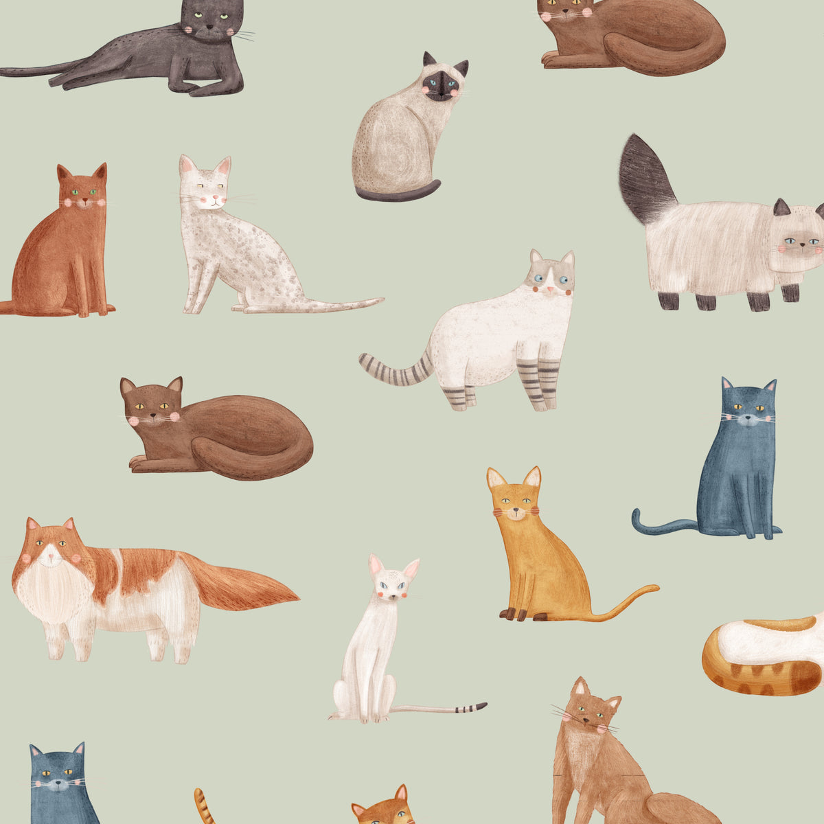 Sage Cat Breeds wallpaper pattern detail