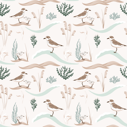 Coastal Sandpipers Wallpaper