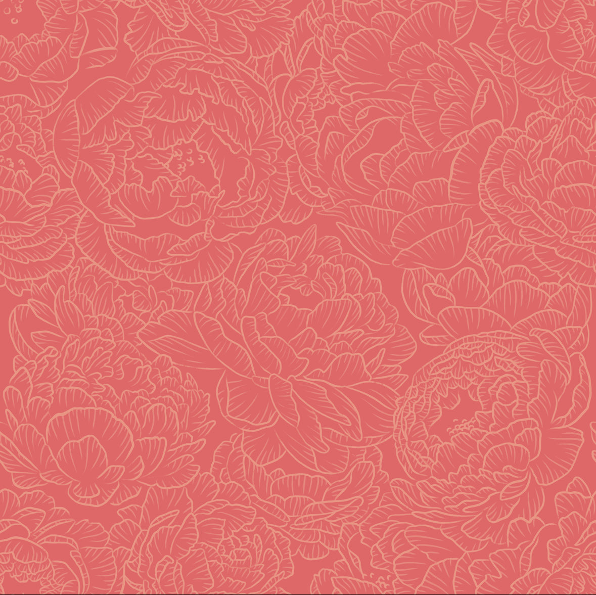 Peony in Coral