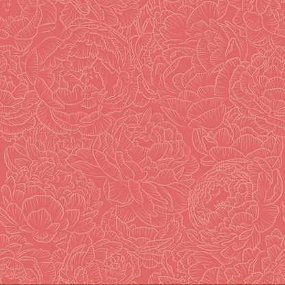 Peony in Coral