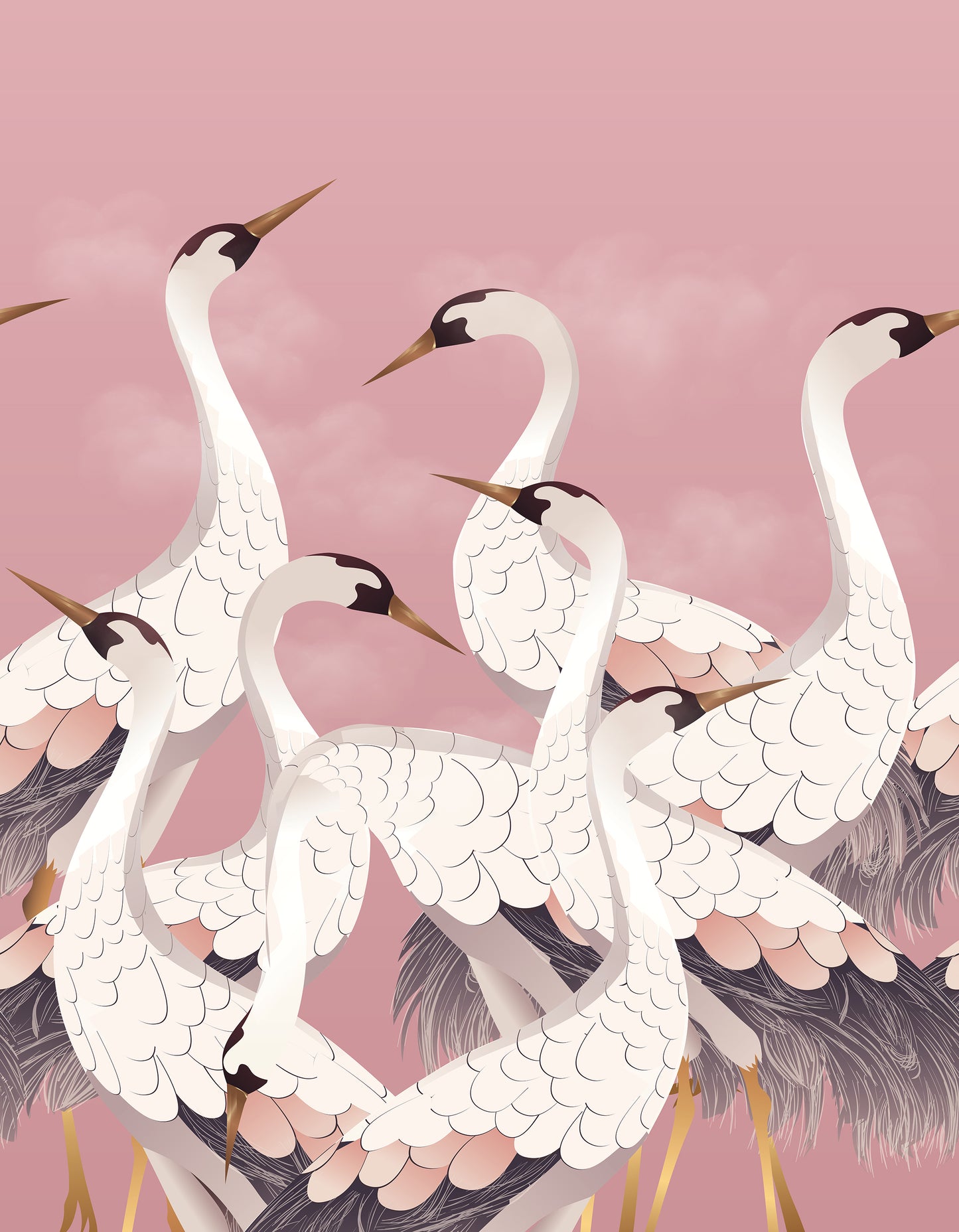 Illustration of cranes on a pink background