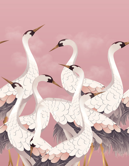 Illustration of cranes on a pink background