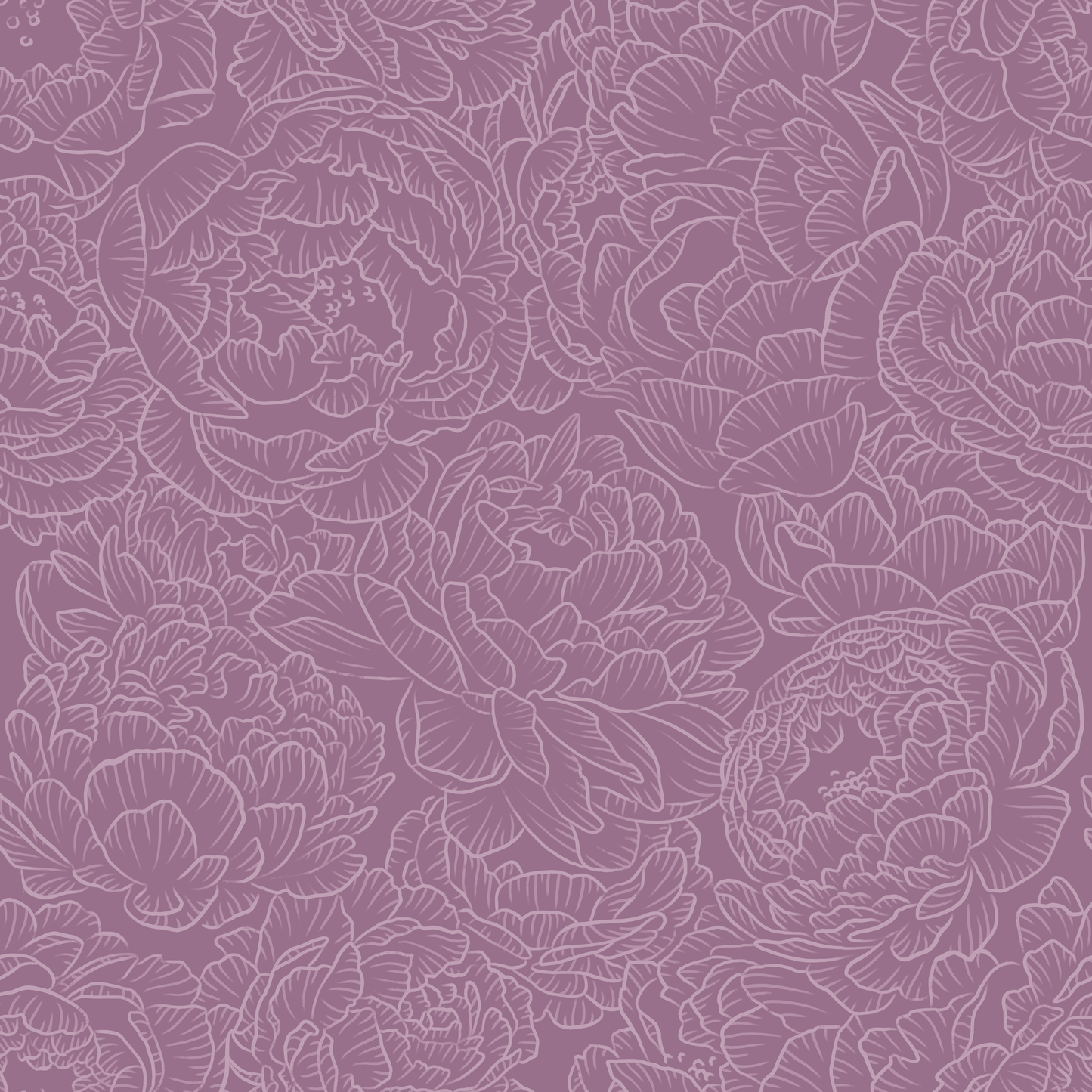 Peony in Lavender