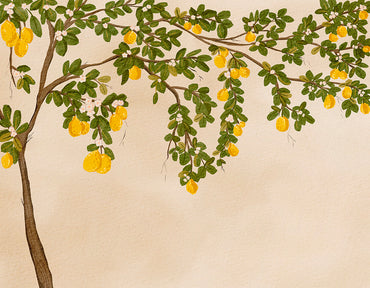 Mediterranean Lemon Branch Peel and Stick Wall Mural - Floral, Botanical, Mural