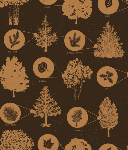 Nature Journal Wallpaper