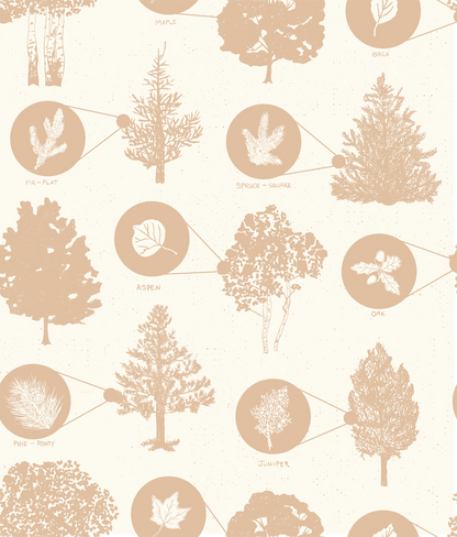 Nature Journal Wallpaper